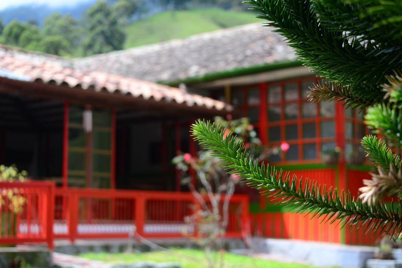 Ecohotel Pinohermoso Reserva Natural Salento Exterior photo
