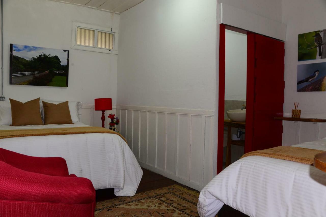 Ecohotel Pinohermoso Reserva Natural Salento Exterior photo